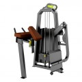       DHZ Fitness T1024 -  .      - 