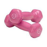     Body Solid   BSTVD1  -  .      - 