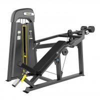         DHZ Fitness E3013 -  .      - 