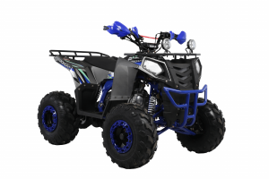  Wels ATV THUNDER EVO 125 X ST s-dostavka  -  .      - 