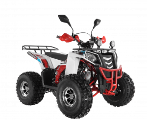  Wels ATV THUNDER EVO 125  s-dostavka  -  .      - 