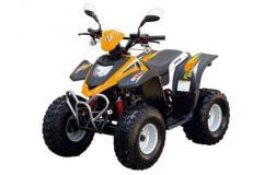  Stels  ATV 50 C -  .      - 